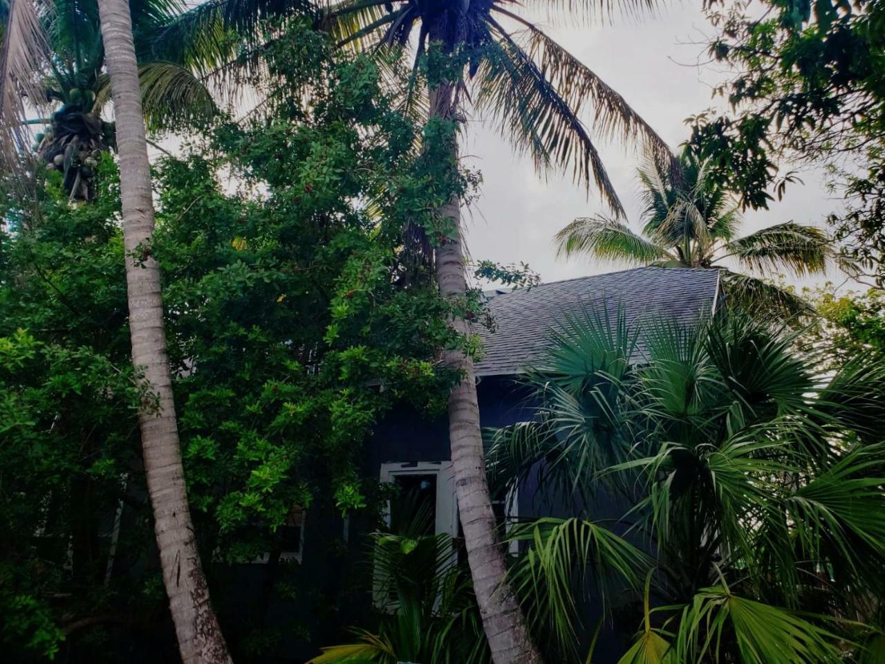 Old Cottage House 迈阿密 外观 照片